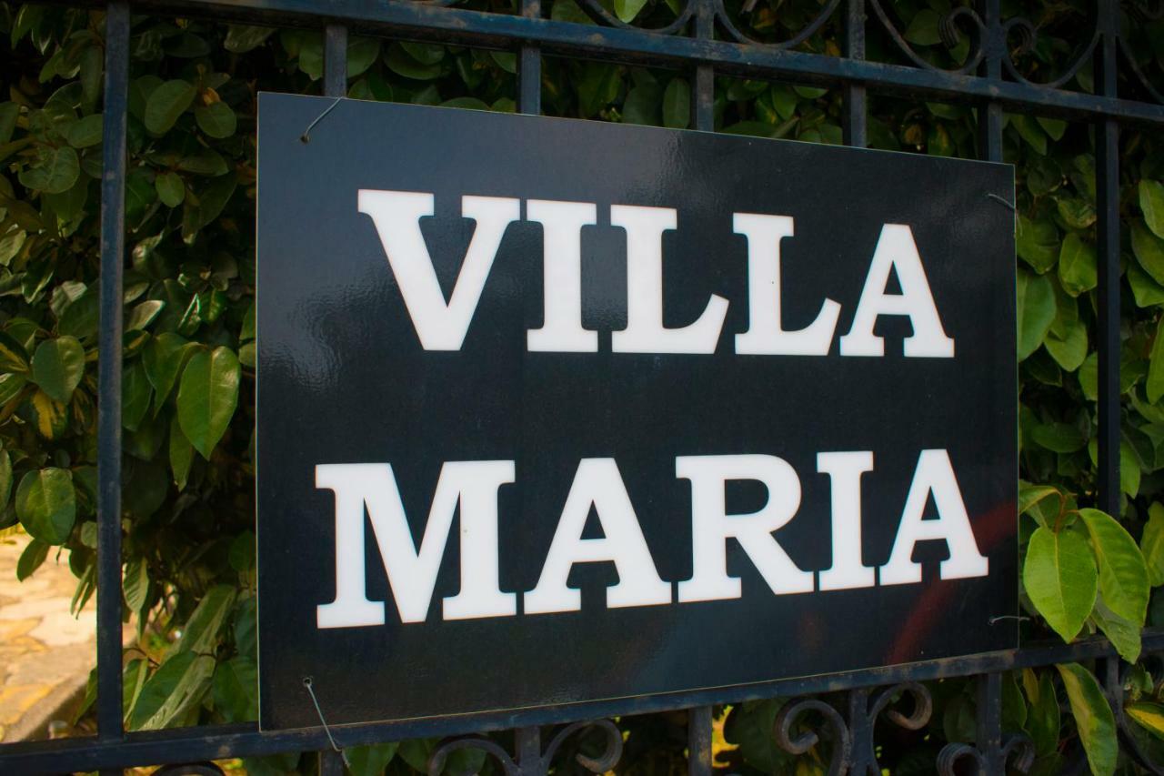 טריופטרה Villa-Maria מראה חיצוני תמונה